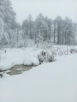 Нажмите на изображение для увеличения.  Название:	IMG_20250406_083702_940.jpg Просмотров:	0 Размер:	456.3 Кб ID:	4522762