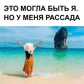 Нажмите на изображение для увеличения.

Название:	FB_IMG_1743855145539.jpg
Просмотров:	523
Размер:	84.7 Кб
ID:	4523045