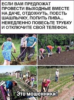 Нажмите на изображение для увеличения.

Название:	IMG_20250407_143846_564.jpg
Просмотров:	869
Размер:	251.6 Кб
ID:	4523129