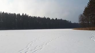 Нажмите на изображение для увеличения.  Название:	20250228_110920.jpg Просмотров:	0 Размер:	768.3 Кб ID:	4523326