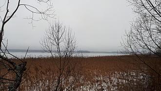 Нажмите на изображение для увеличения.

Название:	20250110_131922.jpg
Просмотров:	157
Размер:	548.0 Кб
ID:	4523829