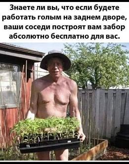 Нажмите на изображение для увеличения.

Название:	IMG_20250407_143419_827.jpg
Просмотров:	508
Размер:	199.2 Кб
ID:	4523988