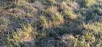 Нажмите на изображение для увеличения.

Название:	IMG_20250428_061743.jpg
Просмотров:	1058
Размер:	643.2 Кб
ID:	4524819
