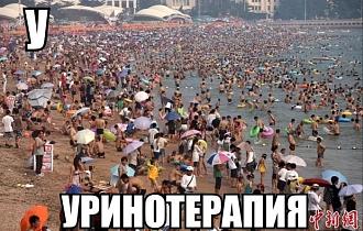 Нажмите на изображение для увеличения.

Название:	492542918_1255811166548608_5791129871973910342_n.jpg
Просмотров:	154
Размер:	125.8 Кб
ID:	4524930
