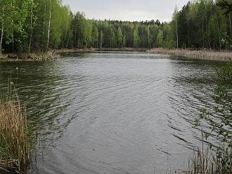 Нажмите на изображение для увеличения.  Название:	IMG_0360.JPG Просмотров:	0 Размер:	536.9 Кб ID:	4524946