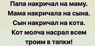 Нажмите на изображение для увеличения.

Название:	IMG_20250430_192421.jpg
Просмотров:	53
Размер:	102.6 Кб
ID:	4525015