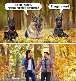 Нажмите на изображение для увеличения.

Название:	494348728_1699499861450720_5485570003199767536_n.jpg
Просмотров:	47
Размер:	217.3 Кб
ID:	4525233