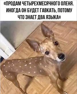 Нажмите на изображение для увеличения.

Название:	FB_IMG_1746256805941.jpg
Просмотров:	31
Размер:	67.2 Кб
ID:	4525395