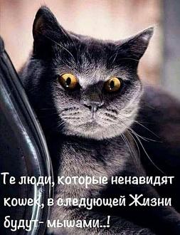 Нажмите на изображение для увеличения.

Название:	494290090_686595624325868_6296566784305179390_n.jpg
Просмотров:	45
Размер:	102.9 Кб
ID:	4525530