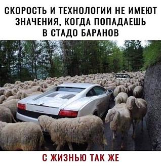 Нажмите на изображение для увеличения.

Название:	IMG_20250504_195731_520.jpg
Просмотров:	17
Размер:	181.6 Кб
ID:	4525592