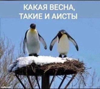 Нажмите на изображение для увеличения.

Название:	IMG_20250427_094814_484.jpg
Просмотров:	223
Размер:	48.0 Кб
ID:	4525788