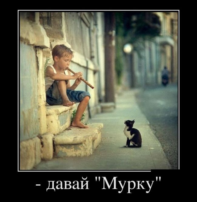 Нажмите на изображение для увеличения.

Название:	1480064384_demotivq.jpg
Просмотров:	212
Размер:	69.4 Кб
ID:	4525799