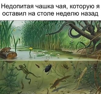 Нажмите на изображение для увеличения.

Название:	495750896_1108002618012204_42140323827180950_n.jpg
Просмотров:	125
Размер:	73.7 Кб
ID:	4525868