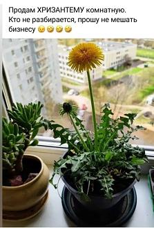 Нажмите на изображение для увеличения.

Название:	IMG_20250511_205035_887.jpg
Просмотров:	61
Размер:	170.5 Кб
ID:	4526296