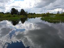 Нажмите на изображение для увеличения.  Название:	IMG_20250510_103450.jpg Просмотров:	0 Размер:	458.1 Кб ID:	4526307