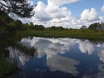 Нажмите на изображение для увеличения.  Название:	IMG_20250510_100714.jpg Просмотров:	0 Размер:	523.1 Кб ID:	4526308