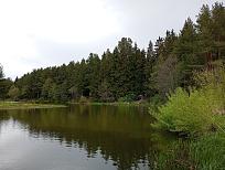 Нажмите на изображение для увеличения.  Название:	IMG_20250510_121355.jpg Просмотров:	0 Размер:	584.0 Кб ID:	4526318