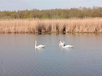 Нажмите на изображение для увеличения.

Название:	IMG_20250423_081623.jpg
Просмотров:	81
Размер:	474.5 Кб
ID:	4526526