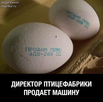 Нажмите на изображение для увеличения.

Название:	IMG_20250516_124446_675.jpg
Просмотров:	208
Размер:	69.1 Кб
ID:	4526801