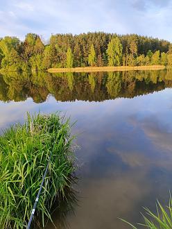 Нажмите на изображение для увеличения.

Название:	IMG_20250518_201307.jpg
Просмотров:	16
Размер:	504.7 Кб
ID:	4526811