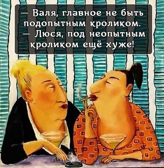 Нажмите на изображение для увеличения.

Название:	498319824_2352195071864593_4583878996502293361_n.jpg
Просмотров:	0
Размер:	89.3 Кб
ID:	4526887