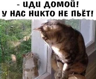 Нажмите на изображение для увеличения.

Название:	499171700_1277425653746996_7782445342704493073_n.jpg
Просмотров:	366
Размер:	64.6 Кб
ID:	4526974