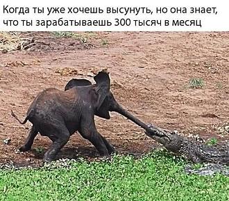 Нажмите на изображение для увеличения.  Название:	499488285_9881878981899891_6915243445208596820_n.jpg Просмотров:	6 Размер:	125.4 Кб ID:	4527086