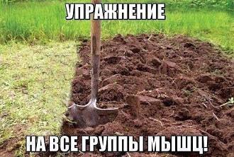 Нажмите на изображение для увеличения.

Название:	IMG_20250524_231617_002.jpg
Просмотров:	359
Размер:	163.1 Кб
ID:	4527290