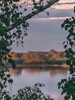 Нажмите на изображение для увеличения.

Название:	IMG_20250520_202340.jpg
Просмотров:	613
Размер:	342.2 Кб
ID:	4527491