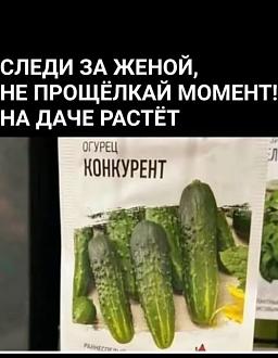 Нажмите на изображение для увеличения.

Название:	500006948_122159462396513807_7420796853542917119_n.jpg
Просмотров:	330
Размер:	52.3 Кб
ID:	4527550