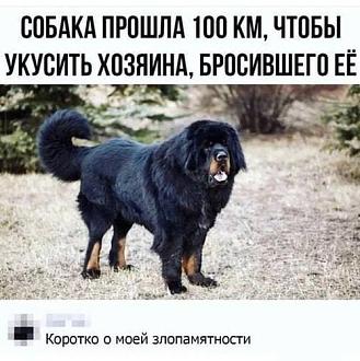 Нажмите на изображение для увеличения.

Название:	IMG_20250525_134509_436.jpg
Просмотров:	279
Размер:	73.9 Кб
ID:	4527662