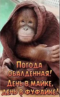 Нажмите на изображение для увеличения.

Название:	IMG_20250528_105011.jpg
Просмотров:	292
Размер:	308.7 Кб
ID:	4527665