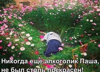 Нажмите на изображение для увеличения.

Название:	IMG_20250529_124555.jpg
Просмотров:	397
Размер:	232.2 Кб
ID:	4527766