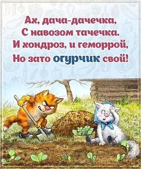 Нажмите на изображение для увеличения.

Название:	IMG_20250528_210233_628.jpg
Просмотров:	261
Размер:	109.4 Кб
ID:	4527801