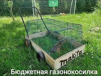Нажмите на изображение для увеличения.

Название:	500960217_3697465360553797_3483706475226481605_n.jpg
Просмотров:	298
Размер:	161.4 Кб
ID:	4527785