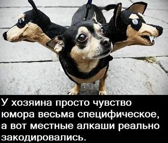 Нажмите на изображение для увеличения.

Название:	IMG_20250529_140755_186.jpg
Просмотров:	262
Размер:	67.9 Кб
ID:	4527867