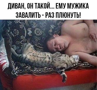Нажмите на изображение для увеличения.

Название:	IMG_20250529_140539_472.jpg
Просмотров:	255
Размер:	86.8 Кб
ID:	4527869
