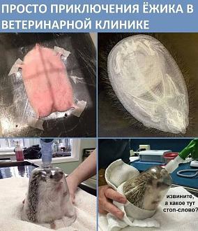 Нажмите на изображение для увеличения.

Название:	IMG_20250601_082850_240.jpg
Просмотров:	513
Размер:	145.7 Кб
ID:	4528002