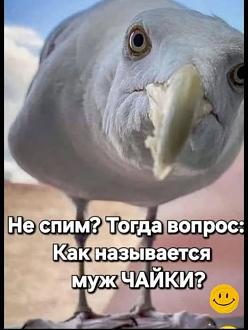Нажмите на изображение для увеличения.

Название:	501757097_1233997508430854_3731858735445110449_n.jpg
Просмотров:	420
Размер:	56.1 Кб
ID:	4528029