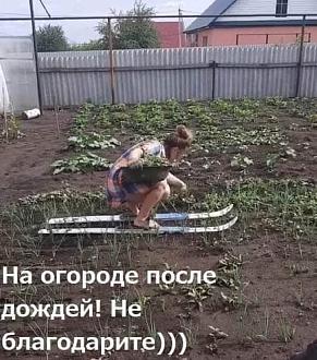 Нажмите на изображение для увеличения.

Название:	FB_IMG_1748941935176.jpg
Просмотров:	119
Размер:	127.3 Кб
ID:	4528275