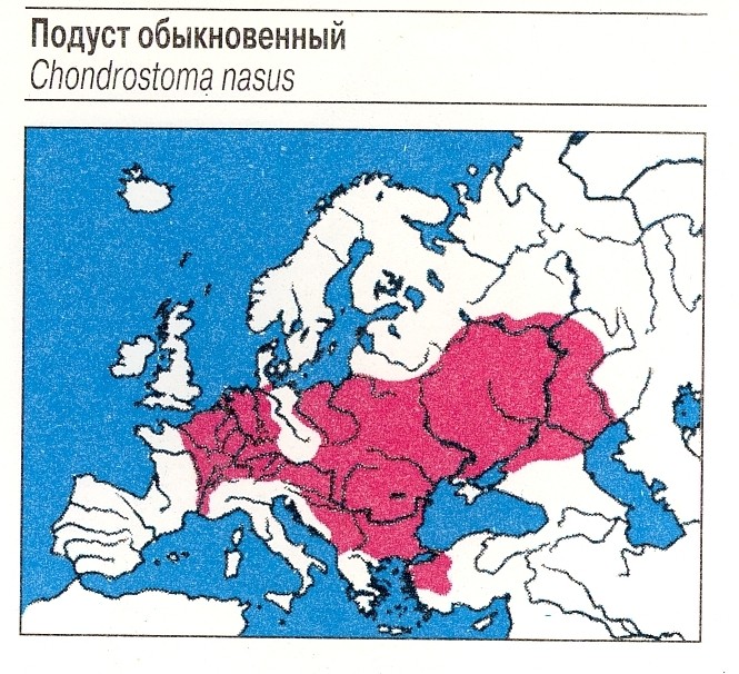 Нажмите на изображение для увеличения.

Название:	ллл.jpg
Просмотров:	105
Размер:	160.5 Кб
ID:	4528423