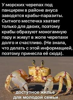 Нажмите на изображение для увеличения.

Название:	504206542_4229418530717318_6639902818108884098_n.jpg
Просмотров:	207
Размер:	98.3 Кб
ID:	4528454