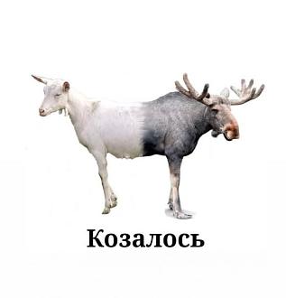 Нажмите на изображение для увеличения.  Название:	503683427_2358360891202962_5180868188316154328_n.jpg Просмотров:	54 Размер:	21.3 Кб ID:	4528785