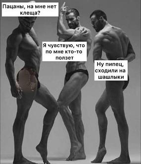 Нажмите на изображение для увеличения.

Название:	504636538_1245256043829120_8113758727843391011_n.jpg
Просмотров:	374
Размер:	43.7 Кб
ID:	4528861