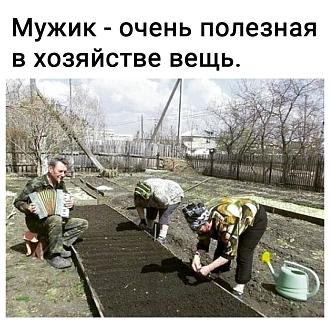 Нажмите на изображение для увеличения.

Название:	IMG_20250611_094731_823.jpg
Просмотров:	370
Размер:	200.9 Кб
ID:	4528915
