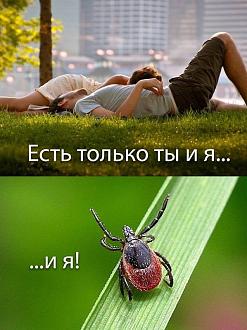 Нажмите на изображение для увеличения.

Название:	IMG_20250608_173800_424.jpg
Просмотров:	340
Размер:	101.2 Кб
ID:	4528916