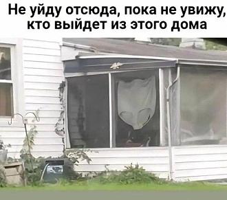 Нажмите на изображение для увеличения.

Название:	IMG_20250611_232246_960.jpg
Просмотров:	276
Размер:	66.6 Кб
ID:	4528964