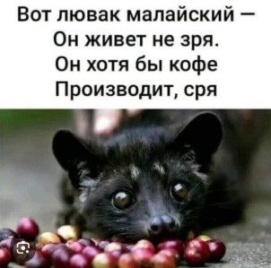 Нажмите на изображение для увеличения.

Название:	Скриншот 13-06-2025 080102.jpg
Просмотров:	109
Размер:	25.5 Кб
ID:	4529025