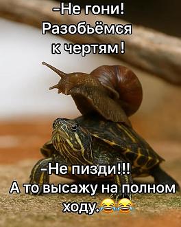 Нажмите на изображение для увеличения.

Название:	IMG_20250615_093726_037.jpg
Просмотров:	35
Размер:	199.7 Кб
ID:	4529171