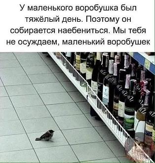 Нажмите на изображение для увеличения.  Название:	506439554_23874154295553261_8090917648748681747_n.jpg Просмотров:	13 Размер:	75.7 Кб ID:	4529179
